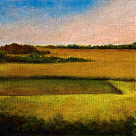 Hazy Fall Day Fort Wayne IN Original Painting